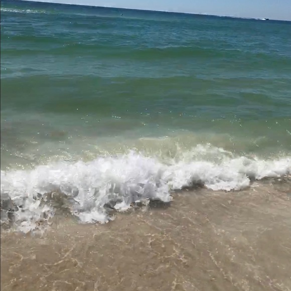 Meet your Posher, Alexa - Picture 1 of 1